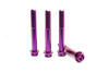 Titanium Predrilled Bolt M10 x 70mm (pack of 4)