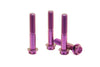 Titanium Predrilled Bolt M8 x 45mm (pack of 4)