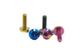 Titanium Fairing Bolt M6 x 20mm